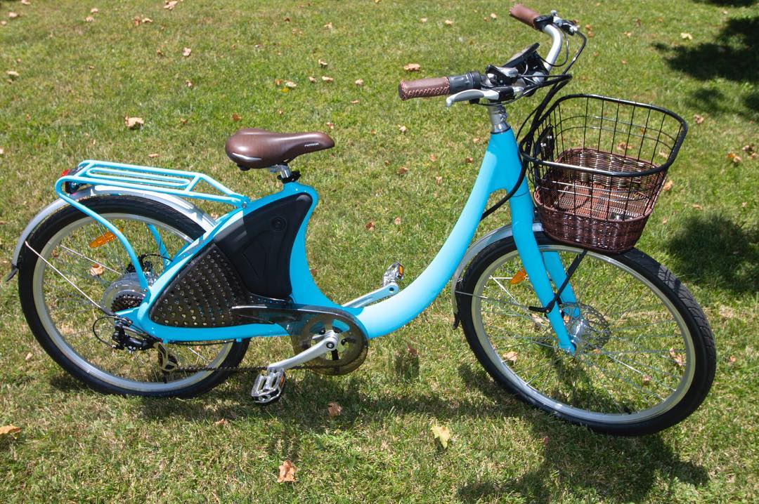 Lark electric bike for lady